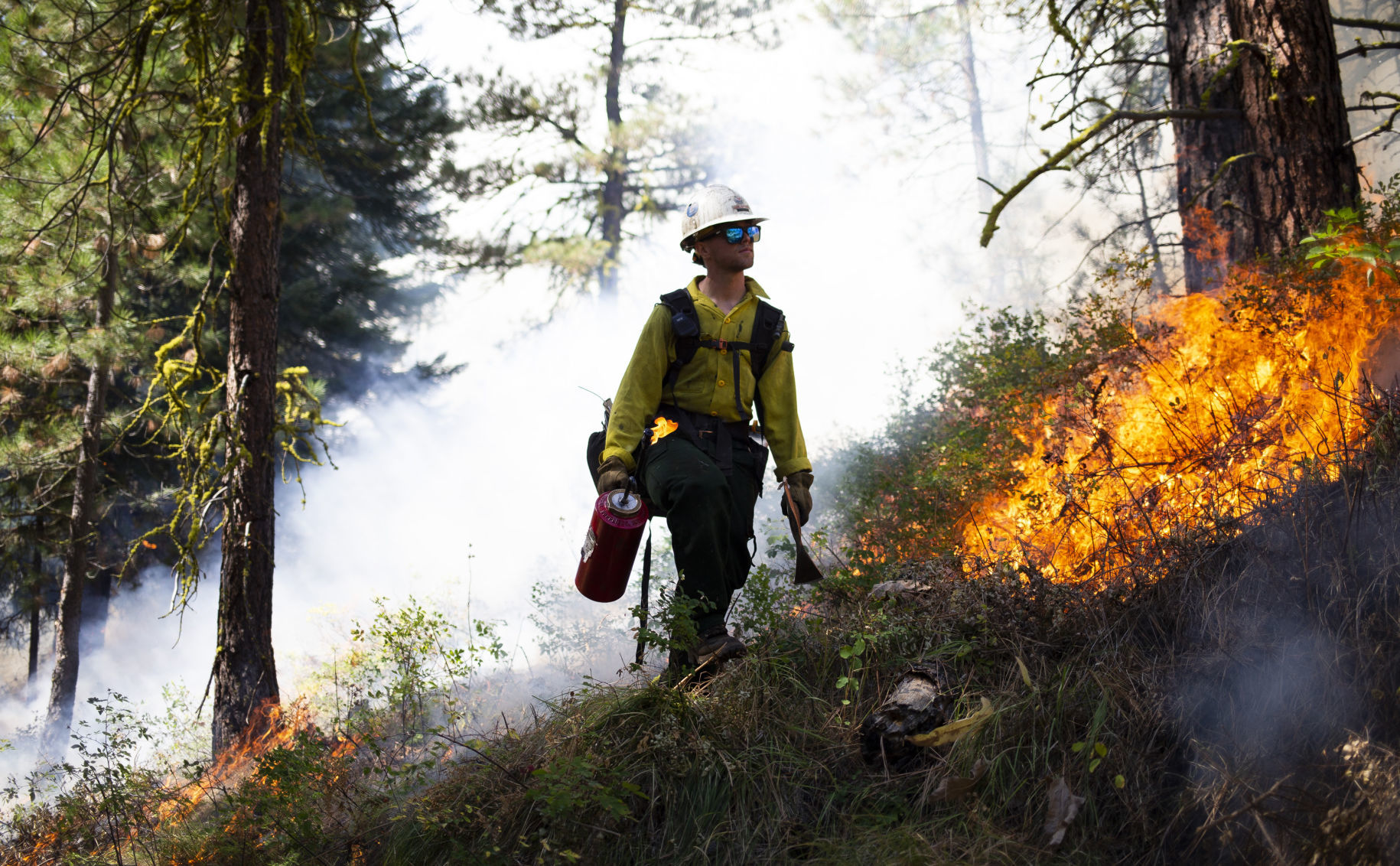 Prescribed burn